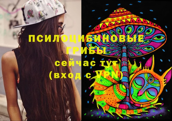 прущий лед Магас