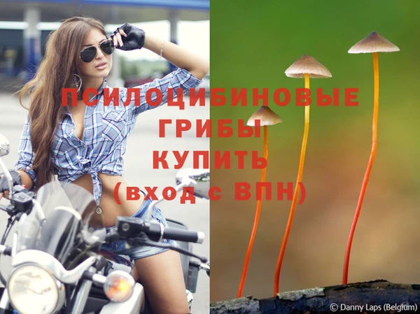 прущий лед Магас